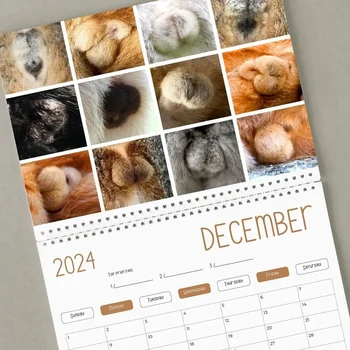 1 ШТ Забавный Кошачий Календарь - Забавный Подарок - Календарь Кошачьих Ягодиц На 2024 год, Как Показано На рисунке Бумажный Кот- - Кошачьи Яички - Белый Слон