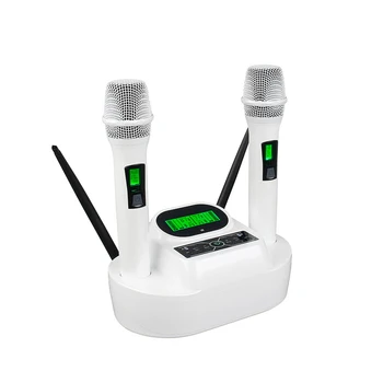 Двойной беспроводной микрофон Heikuding UHF с автоматической зарядкой, профессиональный беспроводной микрофон с регулируемой частотой для караоке-микрофона на вечеринке